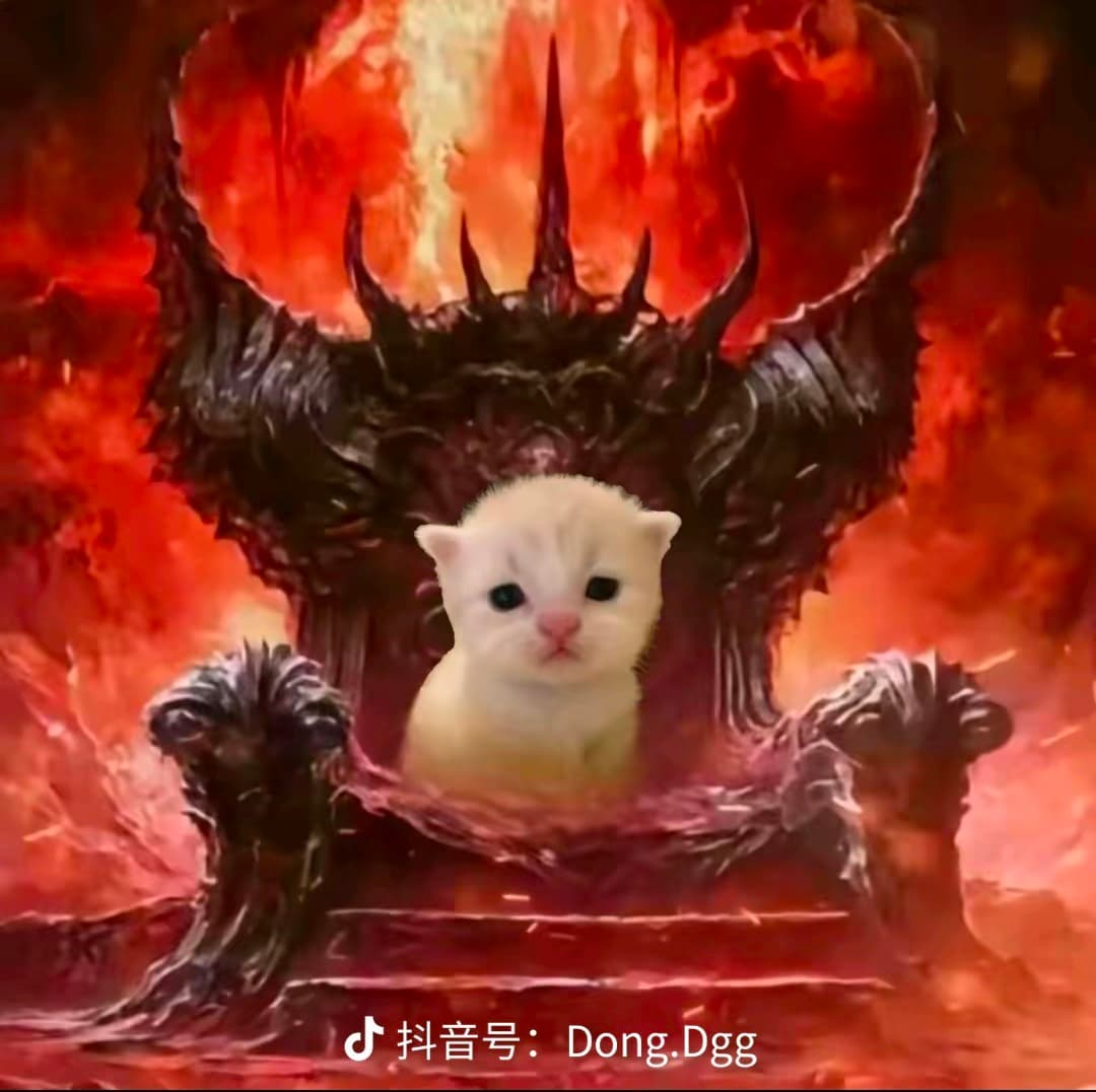 深夜小厮
